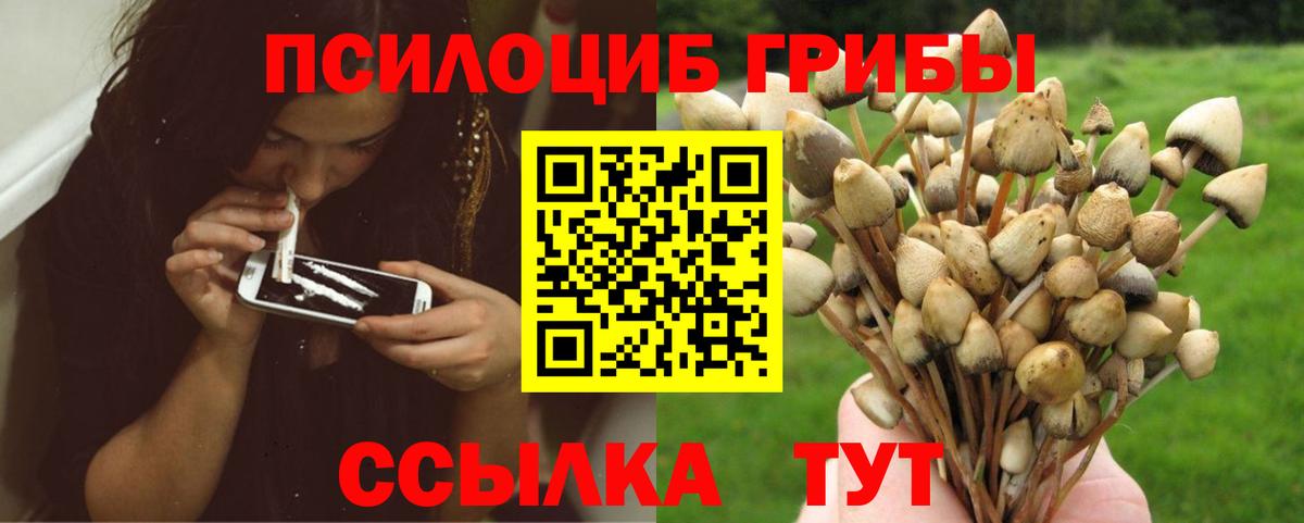 Похвистнево  закладка  Вход с VPN  Псилоцибиновые грибы Magic Shrooms  Псилоцибиновые грибы Magic Shrooms 